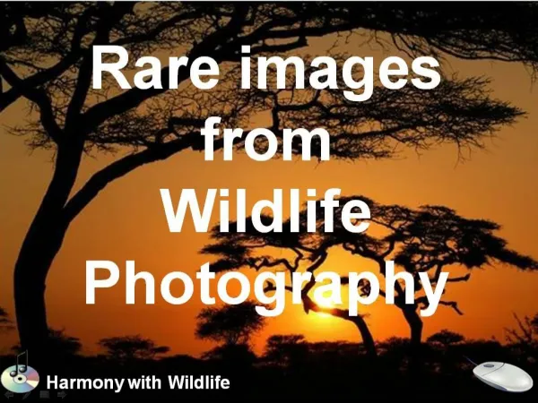 Rare images from Wildlife Photography