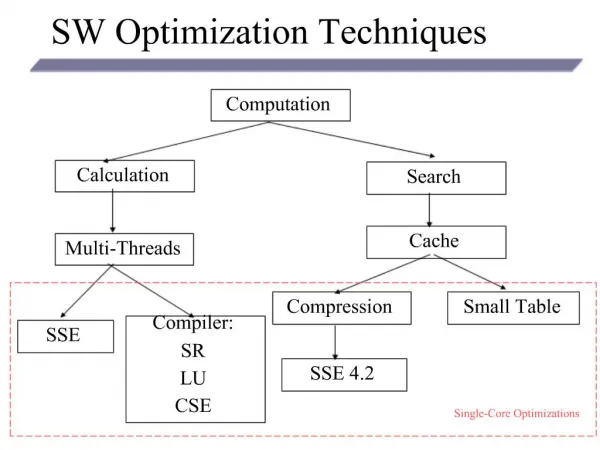 SW Optimization Techniques
