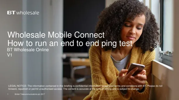 Wholesale Mobile Connect How to run an end to end ping test