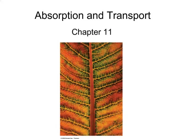 Absorption and Transport
