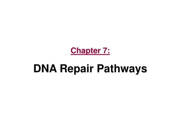 Chapter 7: DNA Repair Pathways