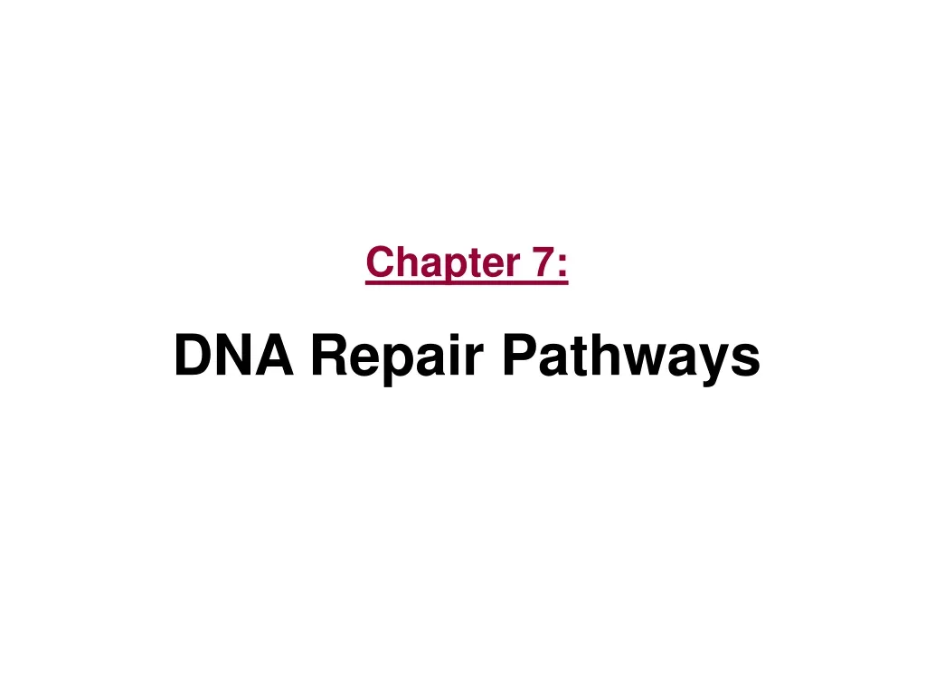 chapter 7 dna repair pathways