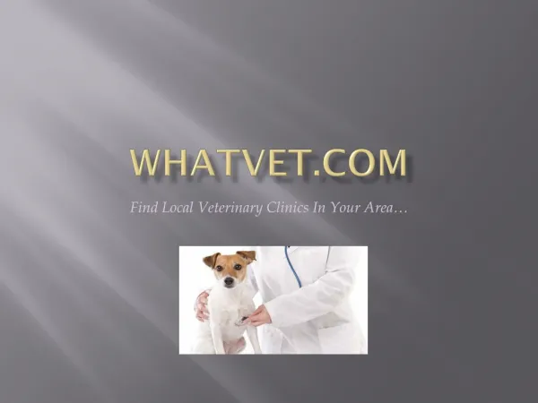 5 Important Tips on Choosing the Right Pet Veterinarian