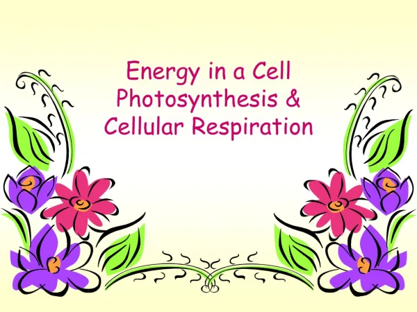 Energy in a Cell Photosynthesis &amp; Cellular Respiration