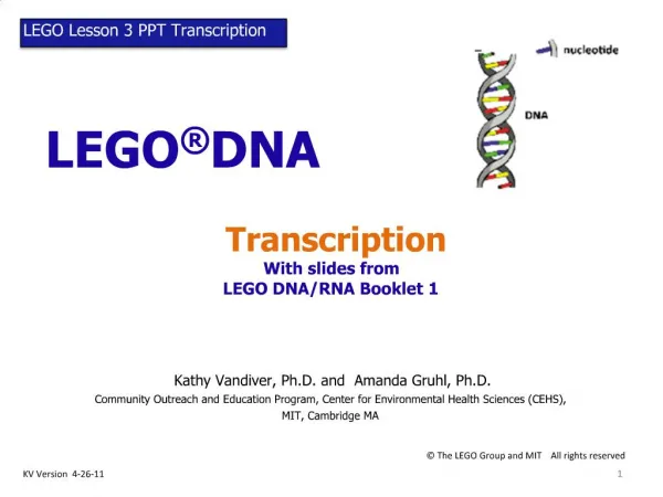LEGO DNA Transcription With slides from LEGO DNA