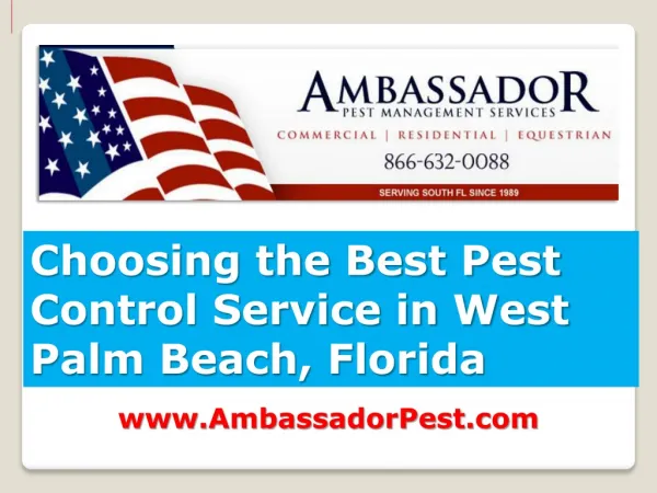 Choosing the Best Pest Control Service in West Palm Beach Fl