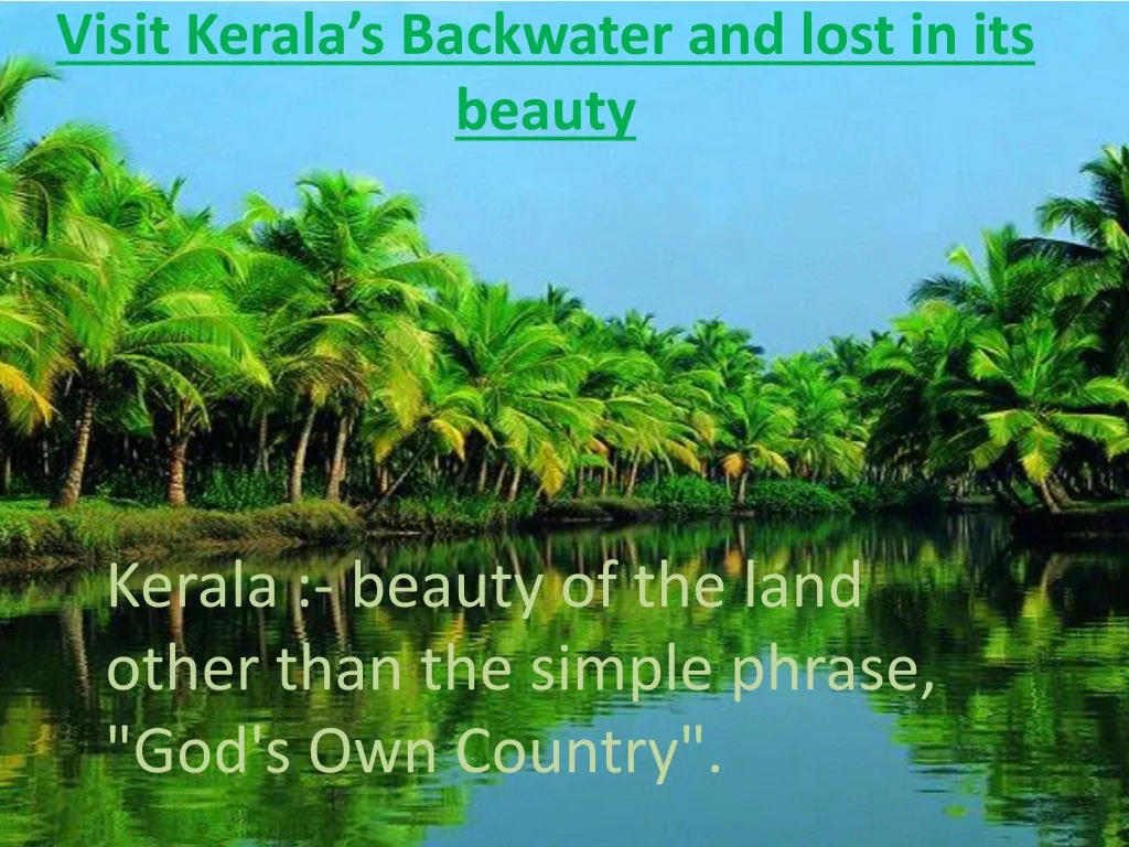 visit kerala s backwater and lost in its beauty