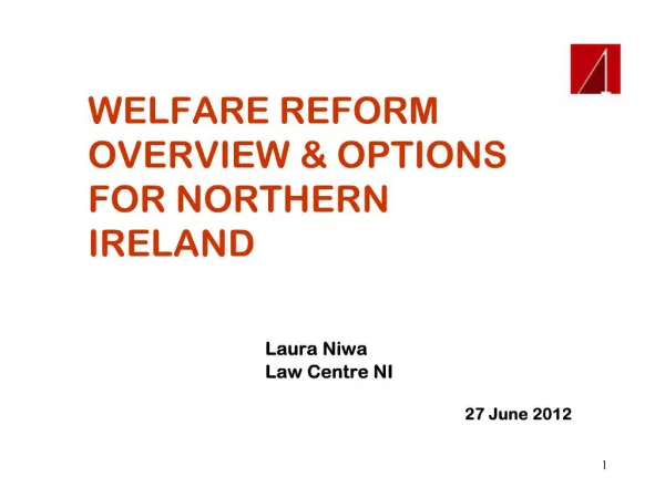 WELFARE REFORM OVERVIEW OPTIONS FOR NORTHERN IRELAND
