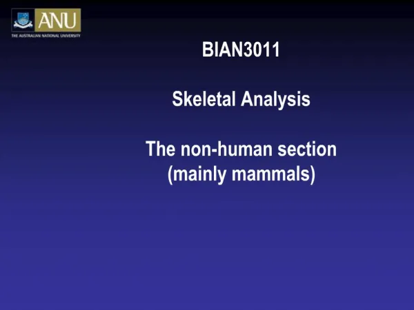 BIAN3011 Skeletal Analysis The non-human section mainly mammals