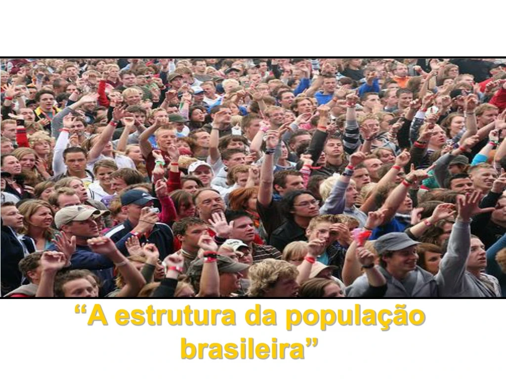 a estrutura da popula o brasileira