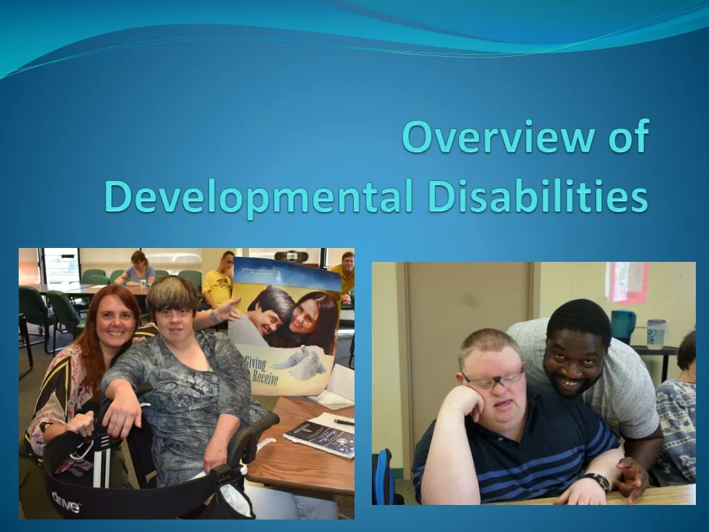 overview of developmental disabilities