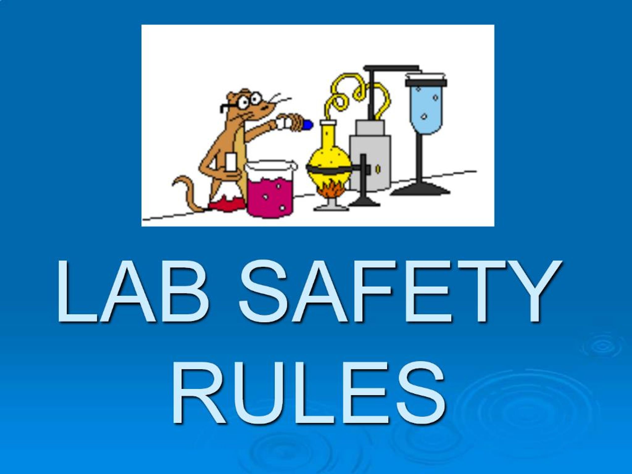PPT - LAB SAFETY RULES PowerPoint Presentation, free download - ID:1147569