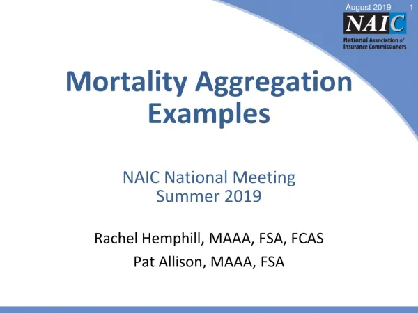 Mortality Aggregation Examples NAIC National Meeting Summer 2019