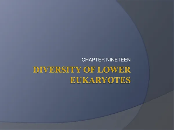 Diversity of lower eukaryotes