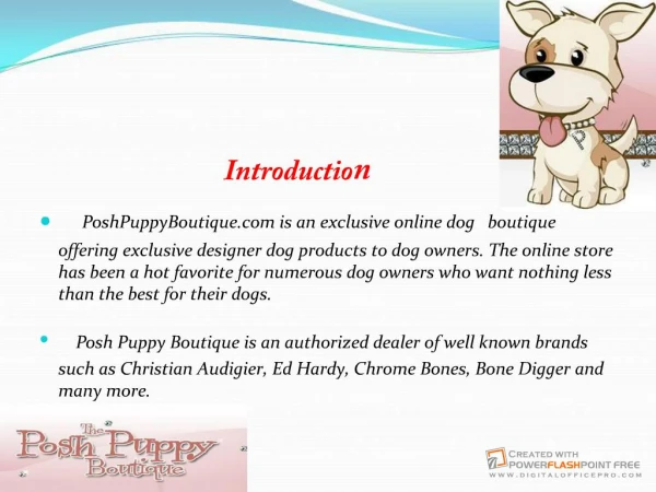 Dog Boutique - Designer Doggy Boutique- High Class Fashion for your doggy!