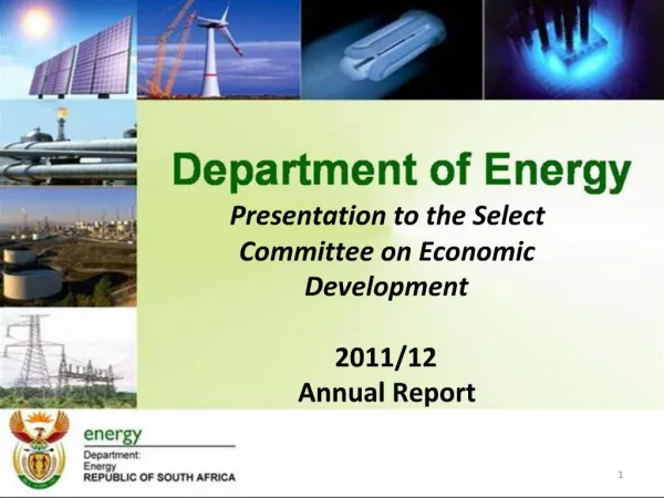 Presentation to the Select Committee on Economic Development 2011