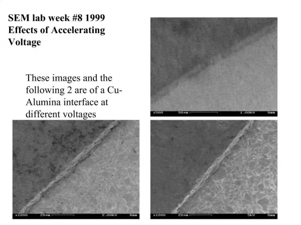 SEM lab week 8 1999 Effects of Accelerating Voltage