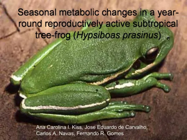 Seasonal metabolic changes in a year-round reproductively active subtropical tree-frog Hypsiboas prasinus