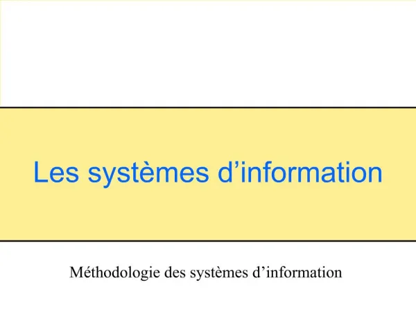 Les syst mes d information
