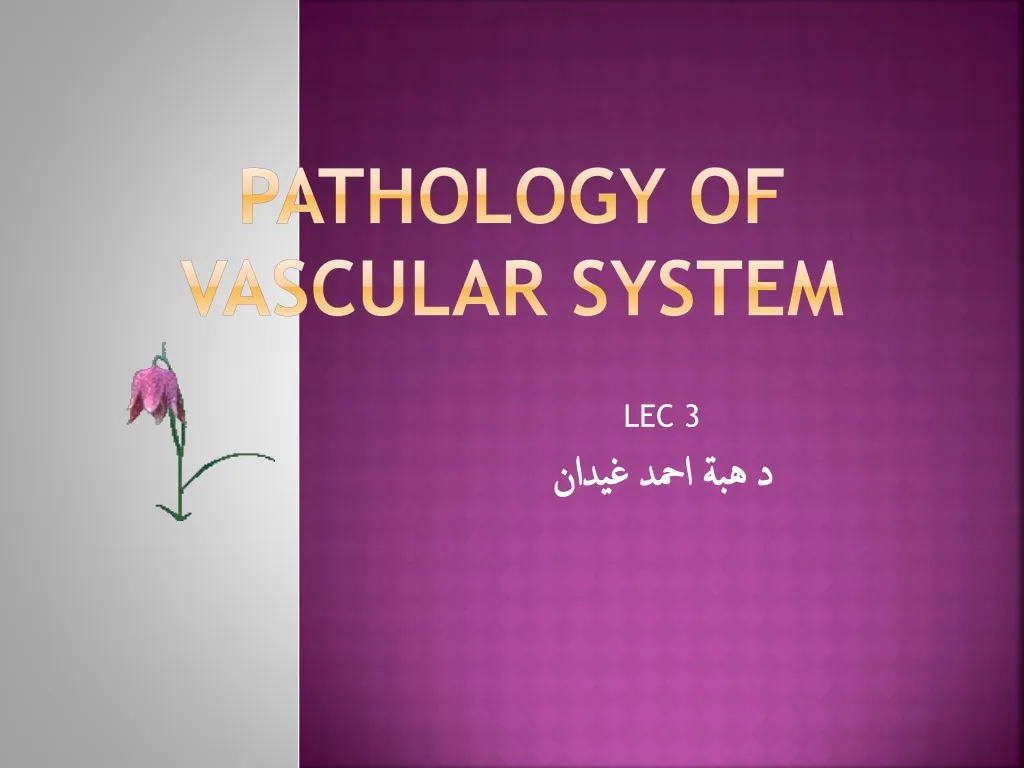 pathology of vascular system