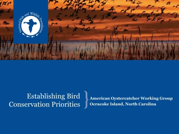 Establishing Bird Conservation Priorities