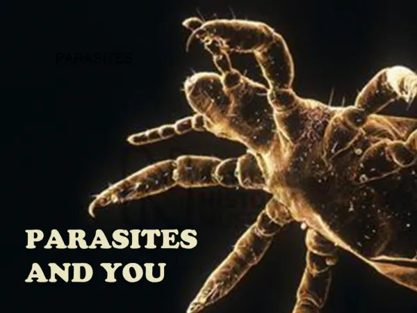 PARASITES AND YOU