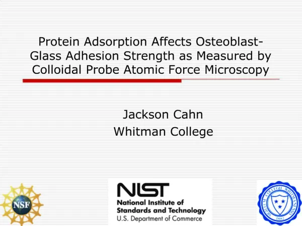 Protein Adsorption Affects Osteoblast-Glass Adhesion Strength as Measured by Colloidal Probe Atomic Force Microscopy