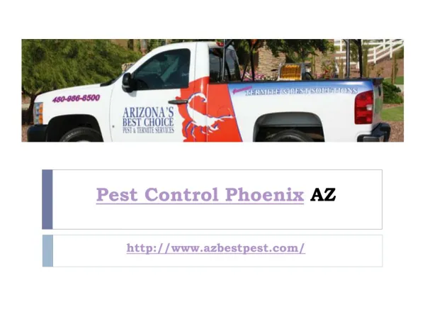 Pest Control Phoenix AZ