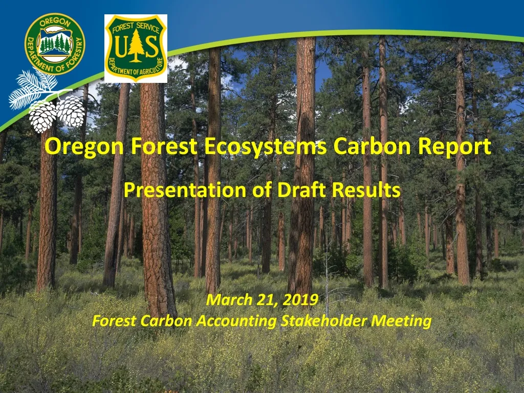oregon forest ecosystems carbon report