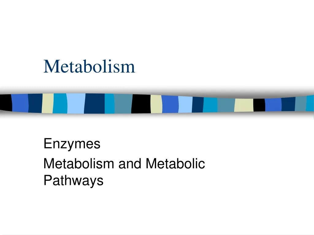 metabolism