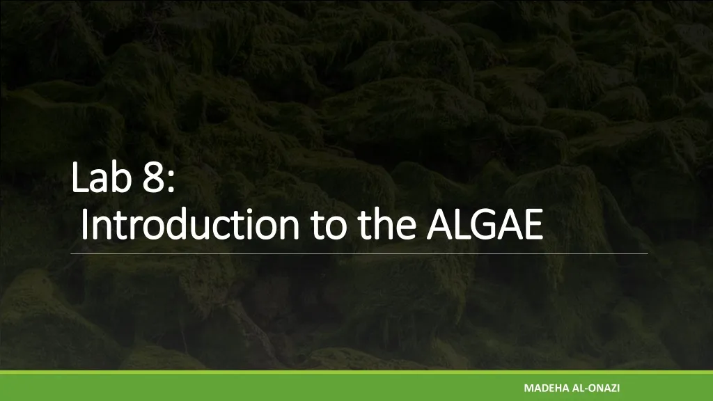 lab 8 introduction to the algae