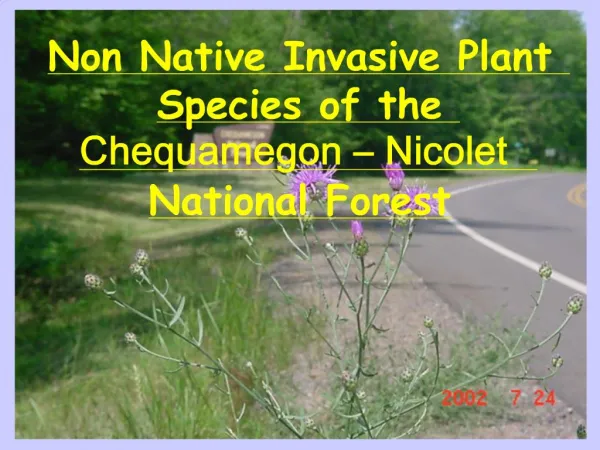 Non Native Invasive Plant Species of the Chequamegon Nicolet National Forest
