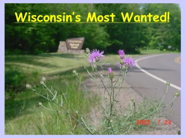 Wisconsin s Most Wanted