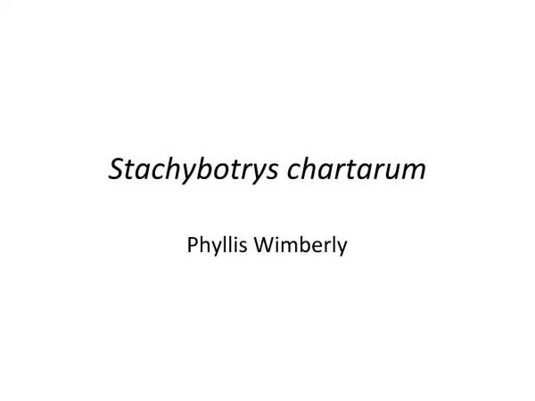Stachybotrys chartarum