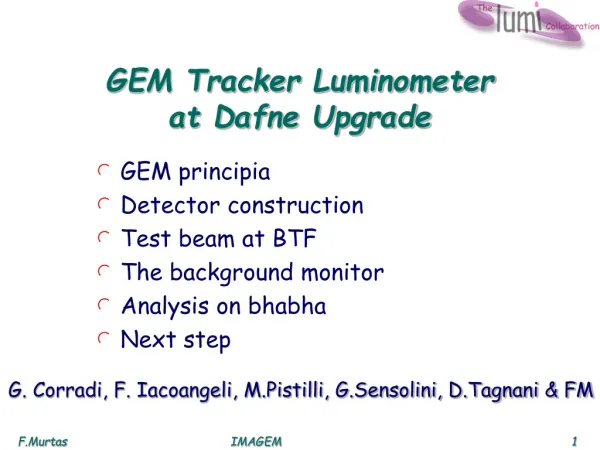 GEM Tracker Luminometer at Dafne Upgrade