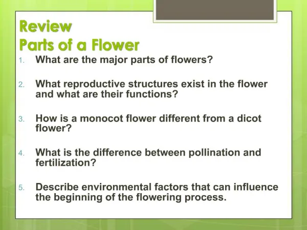 Review Parts of a Flower