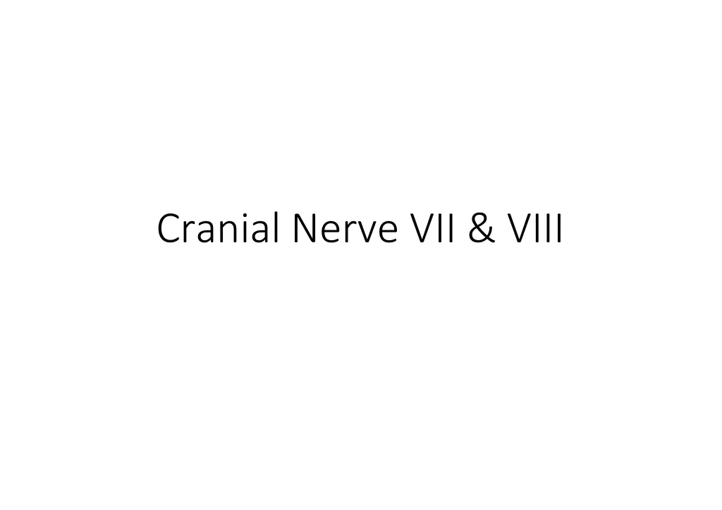 cranial nerve vii viii