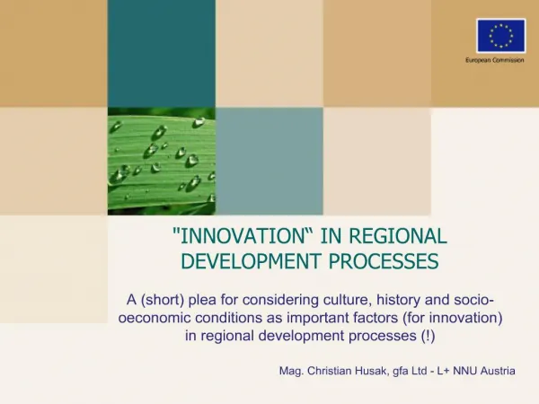 INNOVATION IN REGIONAL DEVELOPMENT PROCESSES