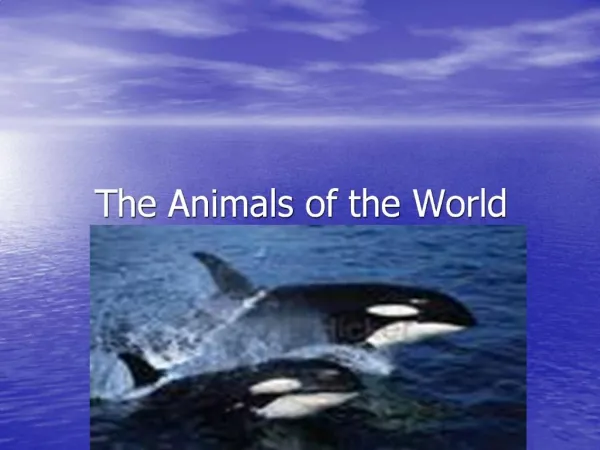 The Animals of the World