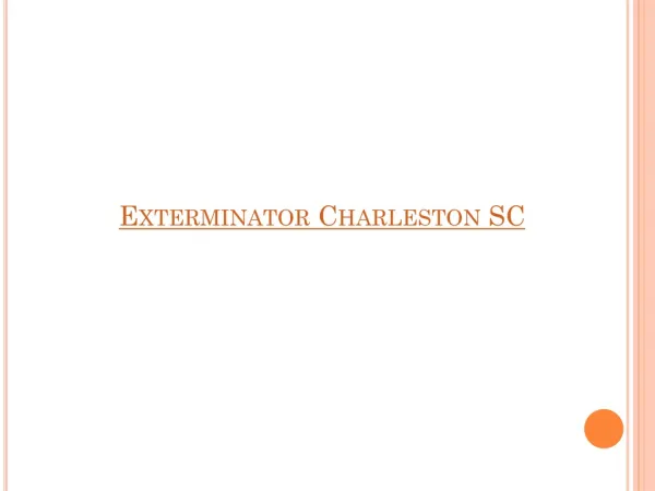 Exterminator Charleston SC