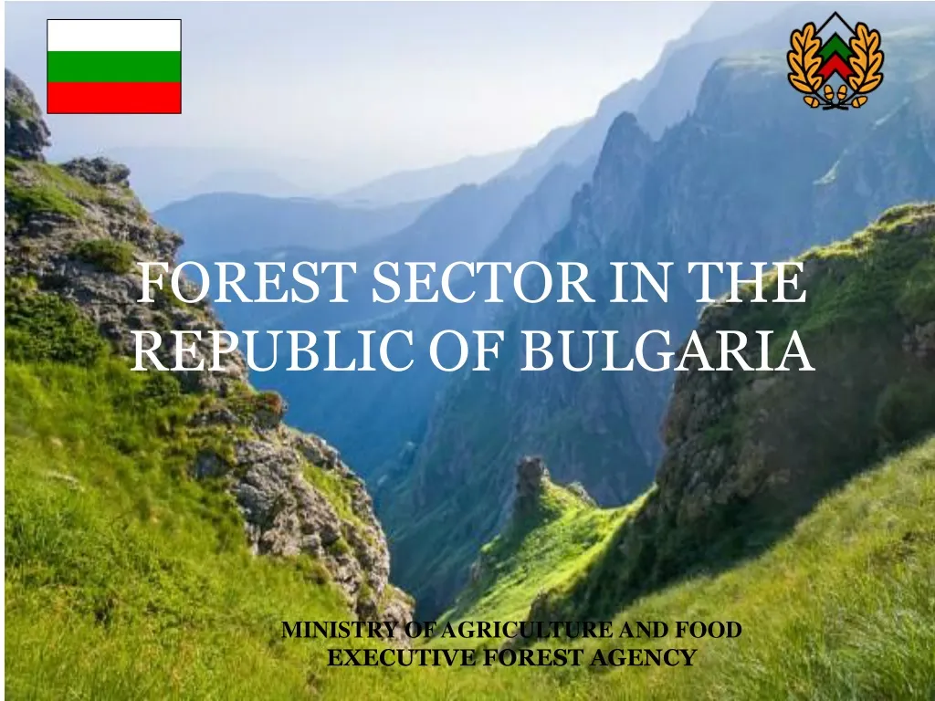forest sector in the republic of bulgaria