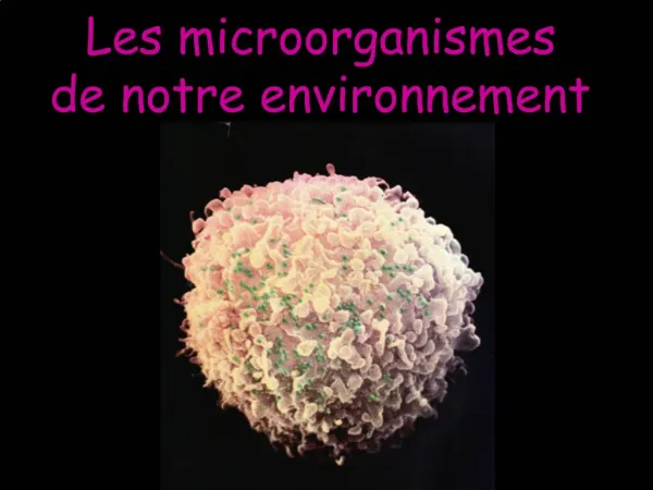 Les microorganismes de notre environnement