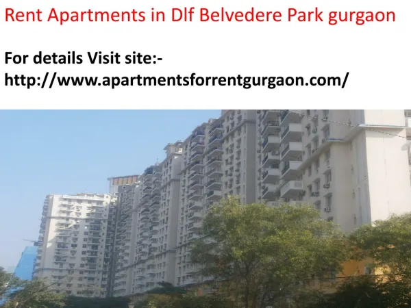 Rent Apartments in Dlf Belvedere Park gurgaon.