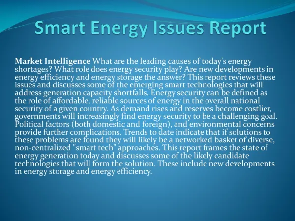 Smart Energy Issues Report