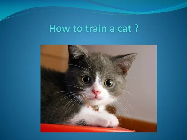 How to train acat
