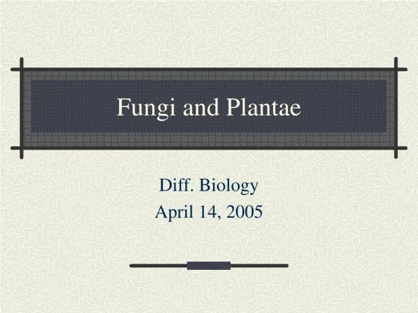 Fungi and Plantae