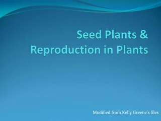 Seed Plants Reproduction in Plants