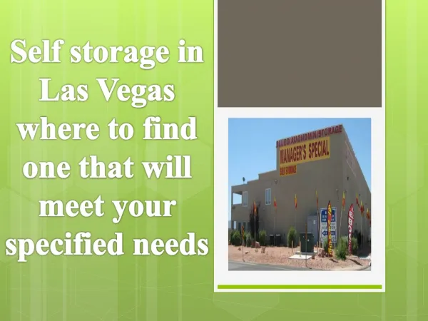 Self storage in Las Vegas where to find one that will meet y
