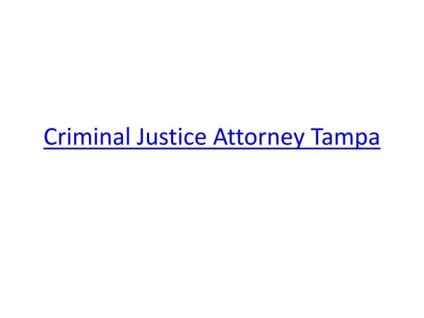 Criminal Justice Attorney Tampa