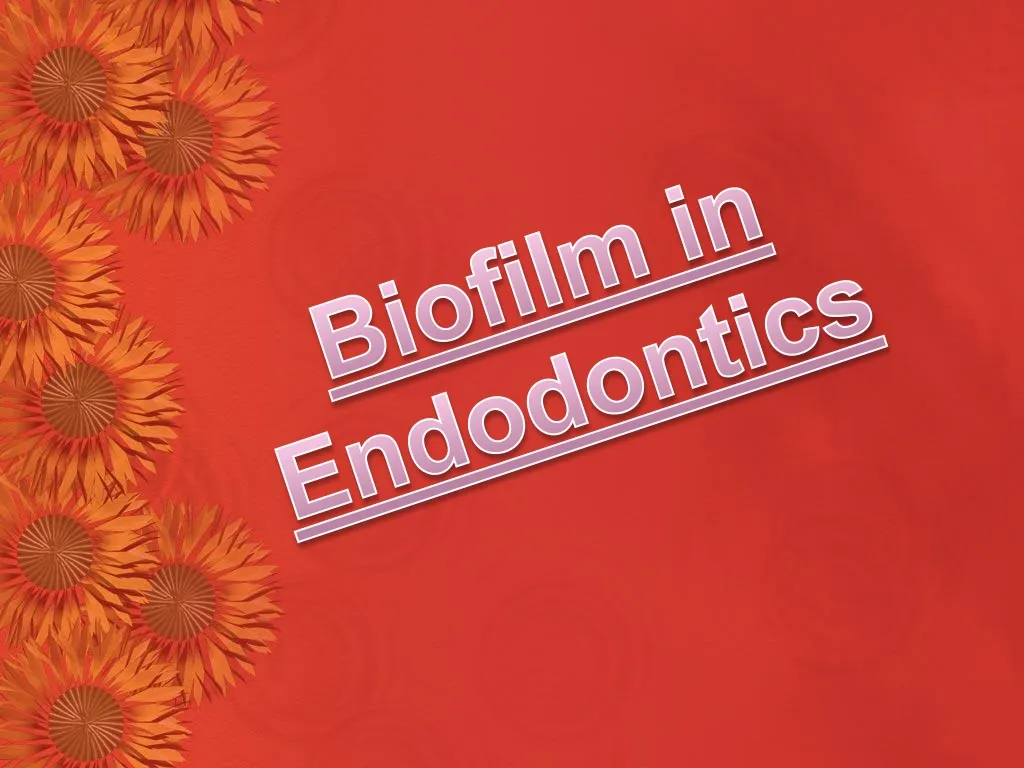 biofilm in endodontics